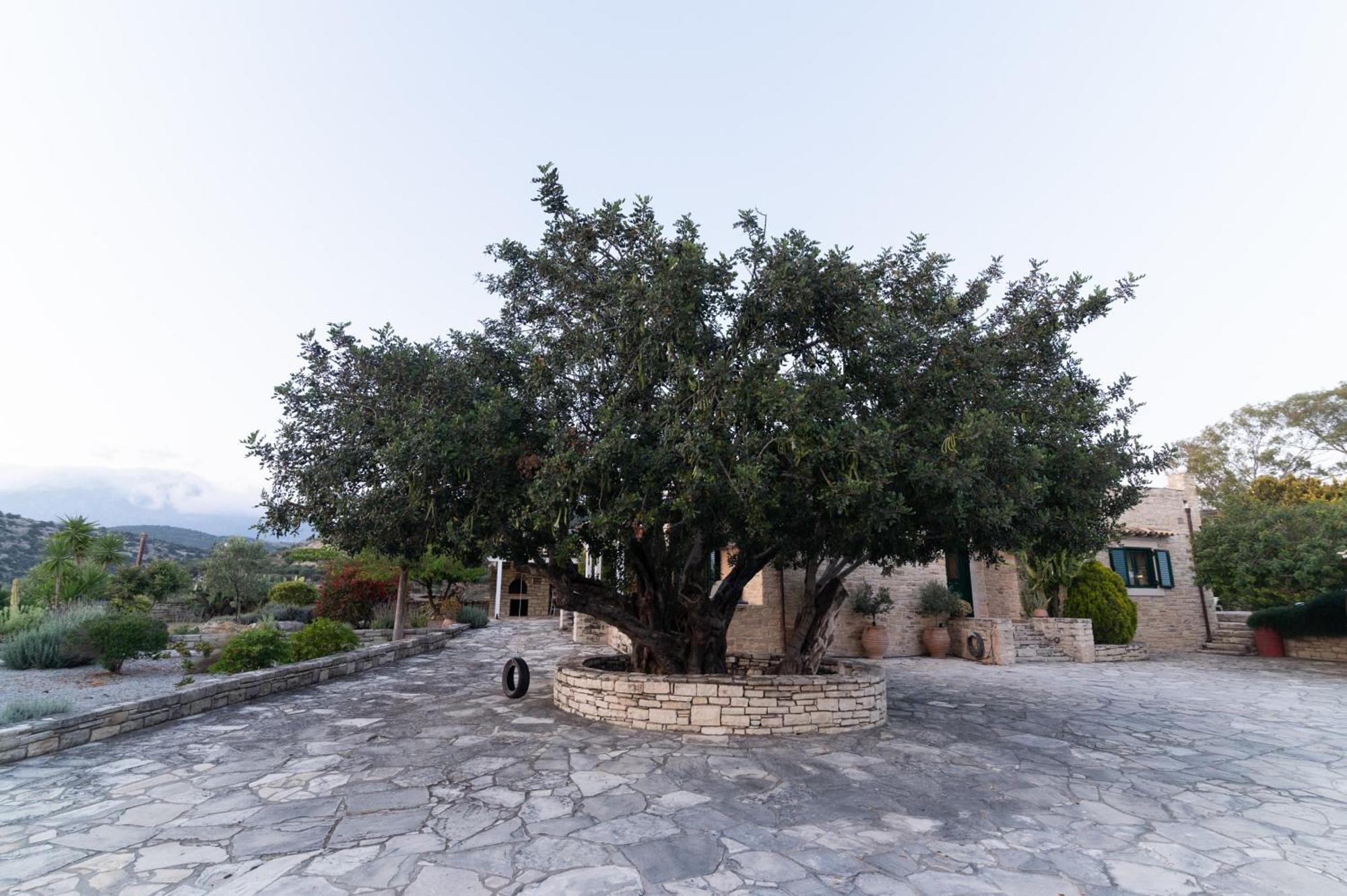 Carob Villa Moírai 외부 사진